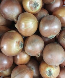 Củ hành trắng 1KG